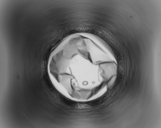 X0000096130605200802151315