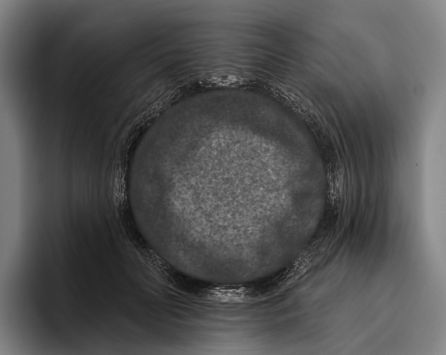 X0000096130606200802151315