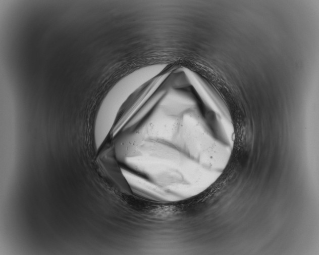 X0000096130609200802151315