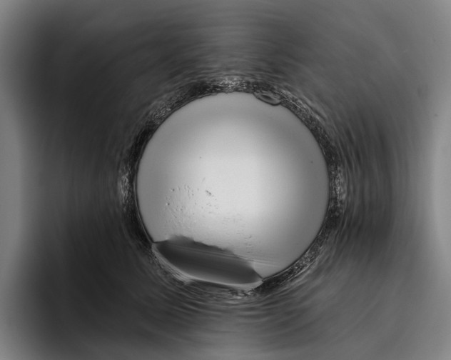 X0000096130611200802151315