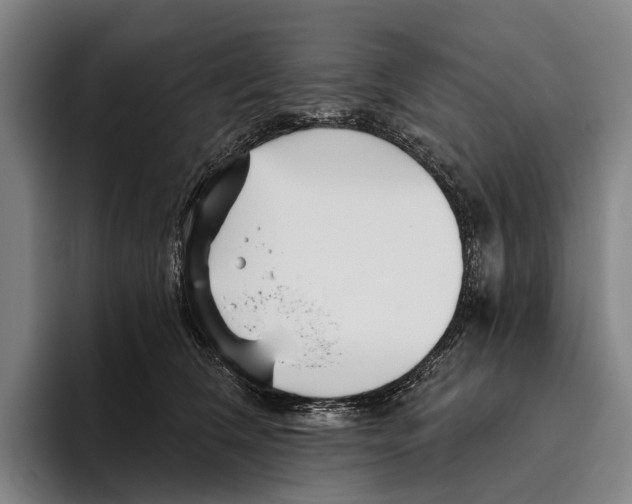 X0000096130612200802151315