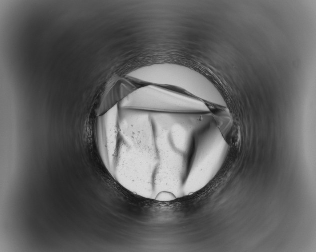 X0000096130613200802151315