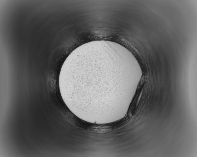 X0000096130615200802151315