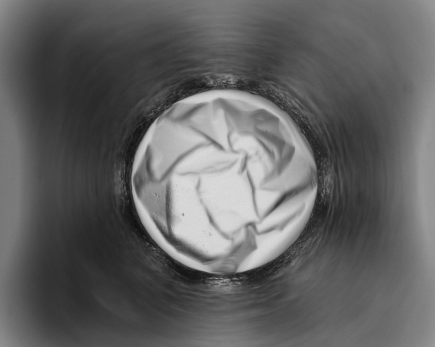 X0000096130616200802151315