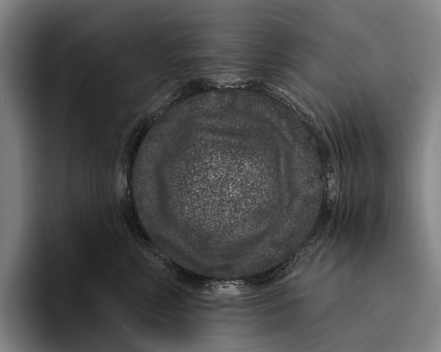 X0000096130618200802151315