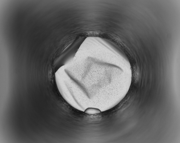 X0000096130619200802151315