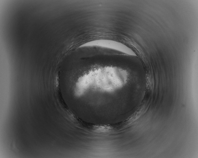 X0000096130621200802151315