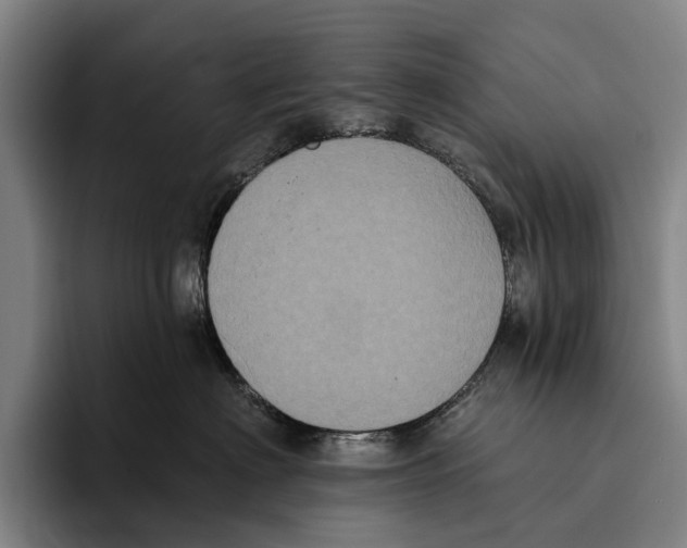 X0000096130622200802151315