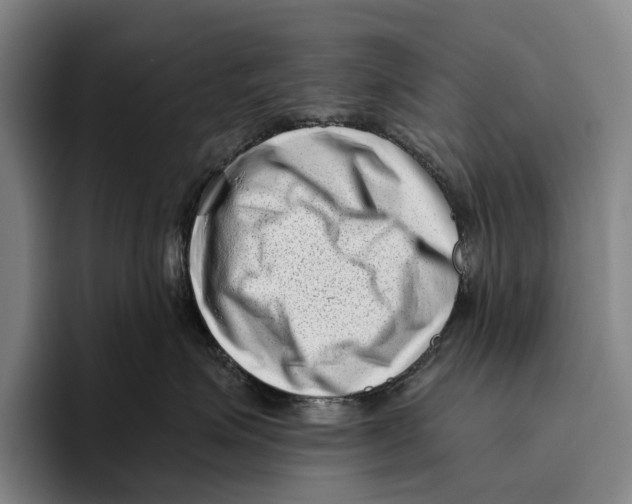 X0000096130623200802151315