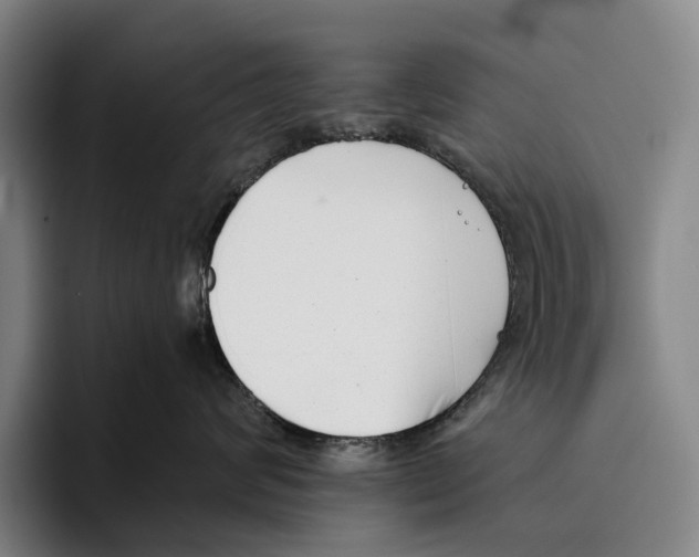 X0000096130624200802151315