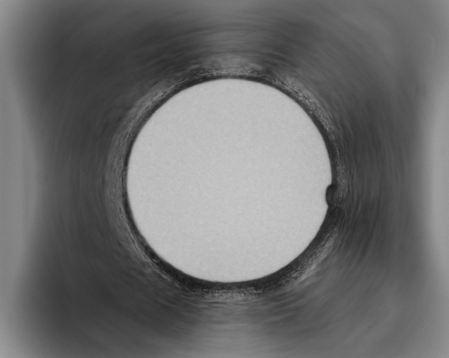 X0000096130625200802151314