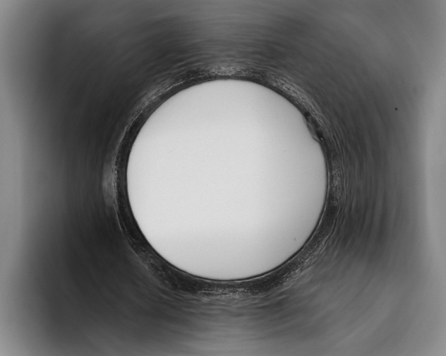 X0000096130626200802151314