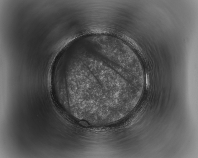 X0000096130627200802151314