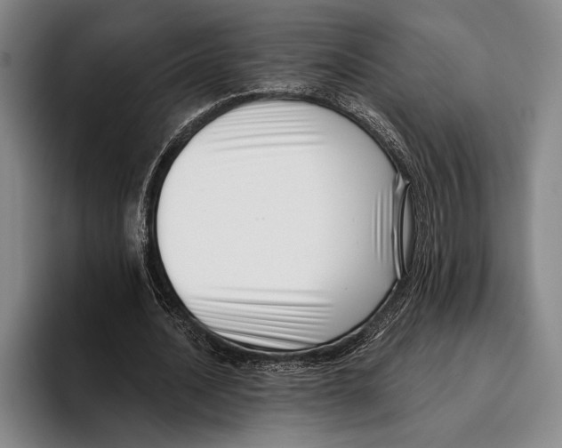 X0000096130628200802151314