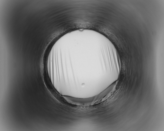 X0000096130630200802151314