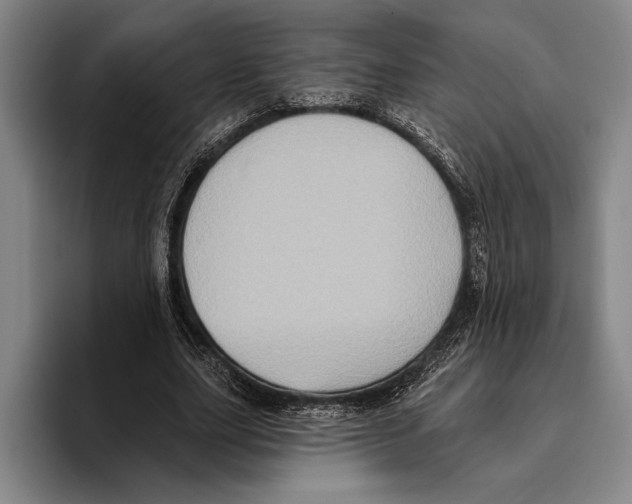 X0000096130631200802151314