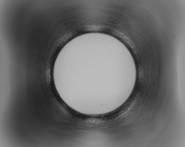 X0000096130633200802151314