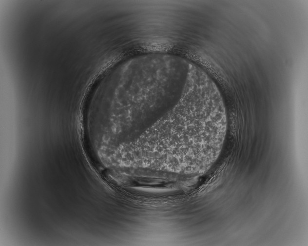 X0000096130634200802151314