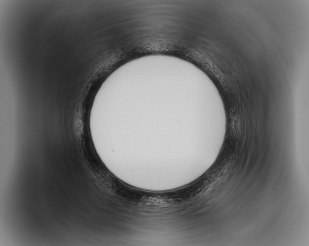 X0000096130635200802151314