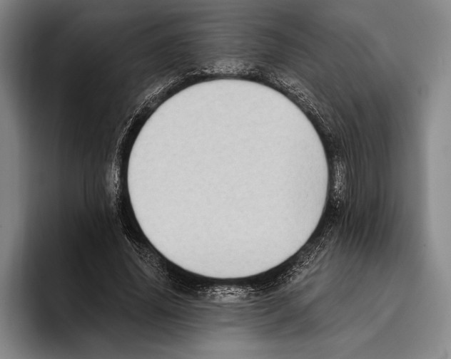 X0000096130636200802151314