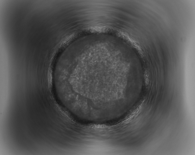 X0000096130637200802151314