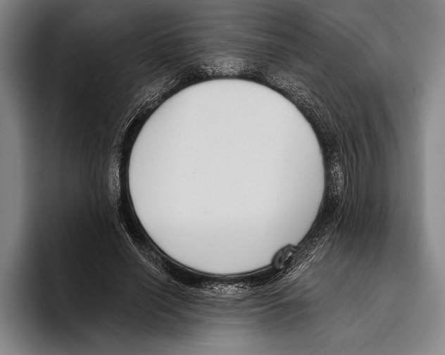 X0000096130638200802151314