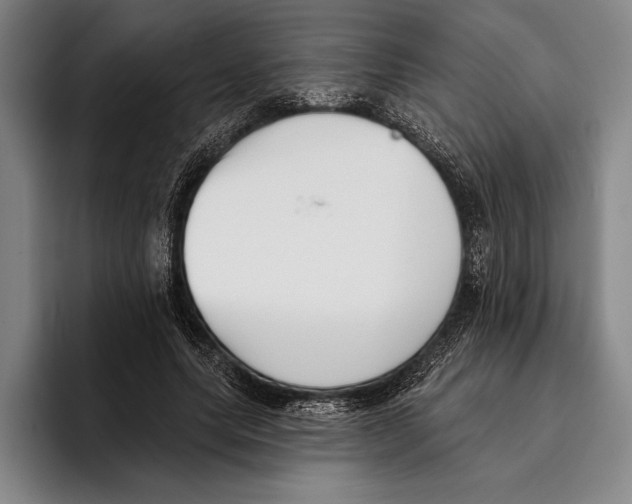 X0000096130639200802151314