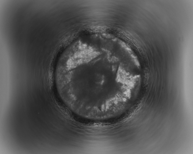 X0000096130641200802151314