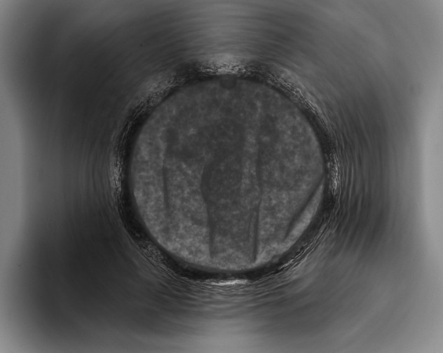 X0000096130643200802151314