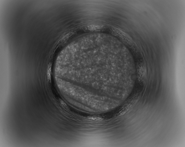 X0000096130644200802151314