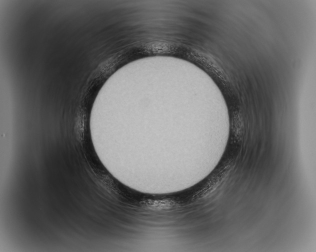 X0000096130645200802151315