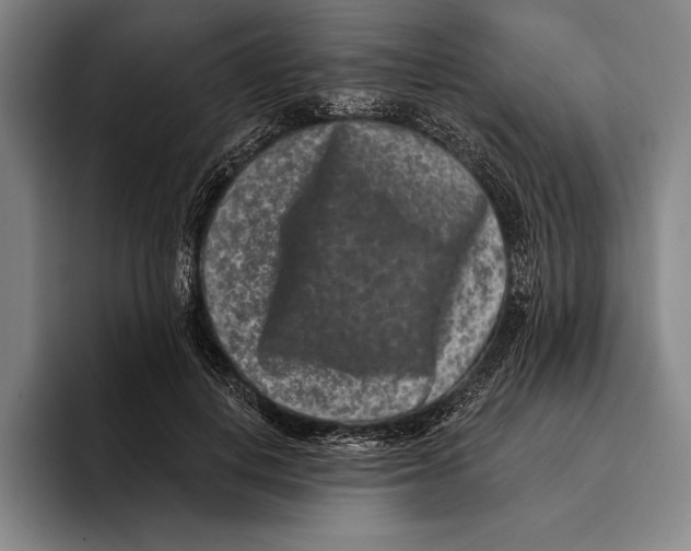 X0000096130648200802151315