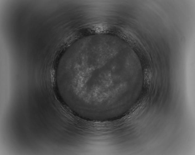 X0000096130650200802151315