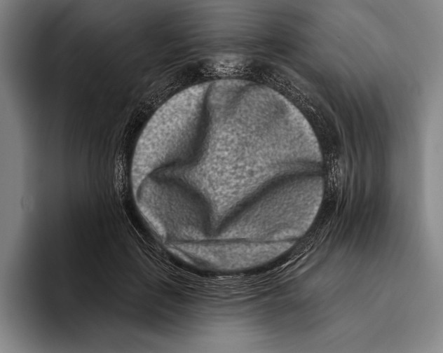 X0000096130651200802151315