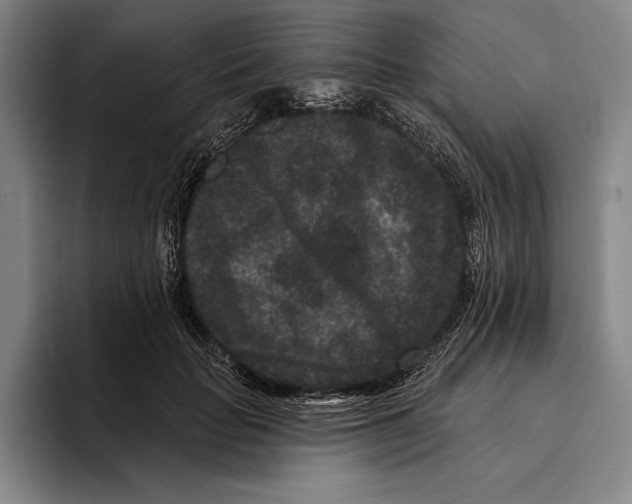 X0000096130653200802151315