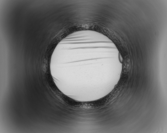 X0000096130656200802151315