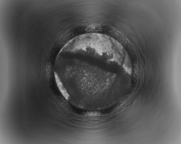 X0000096130659200802151315