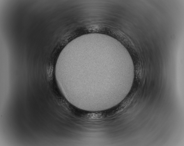 X0000096130660200802151315