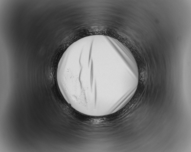 X0000096130662200802151315