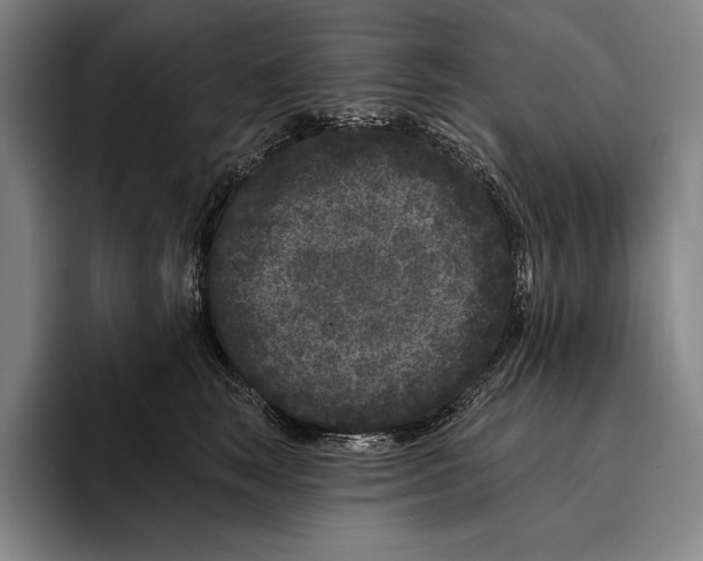 X0000096130663200802151315