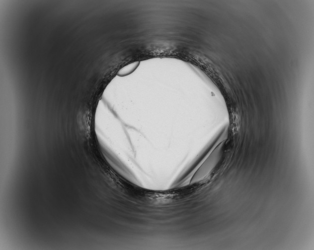 X0000096130664200802151315