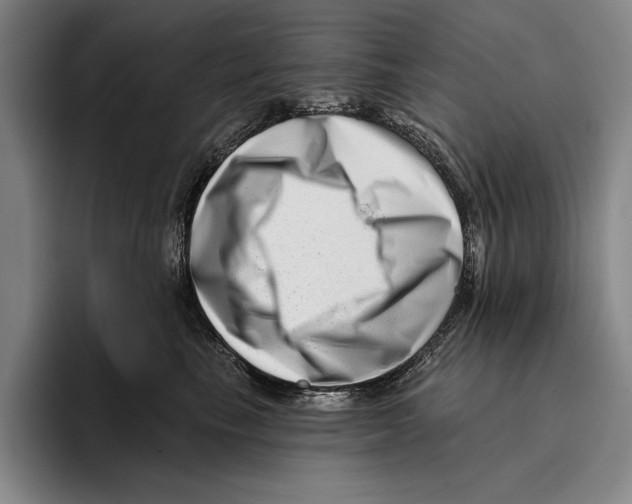 X0000096130665200802151315