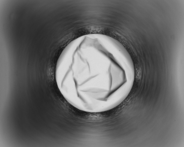 X0000096130666200802151315