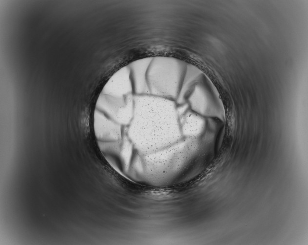 X0000096130668200802151315