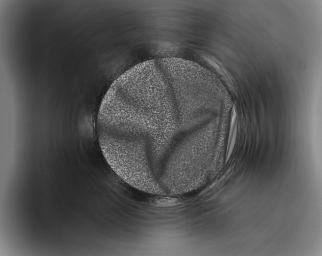 X0000096130669200802151315