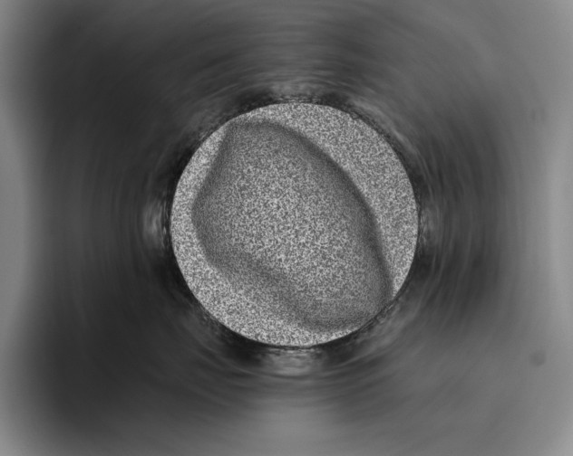 X0000096130671200802151315