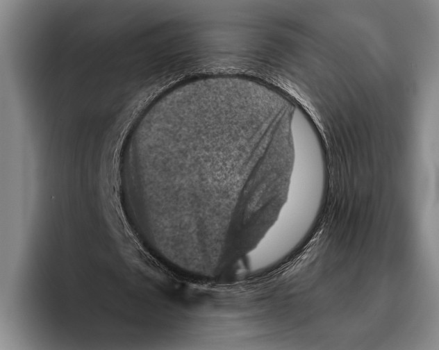 X0000096130673200802151314