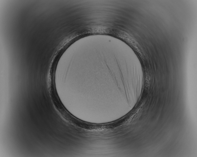 X0000096130674200802151314