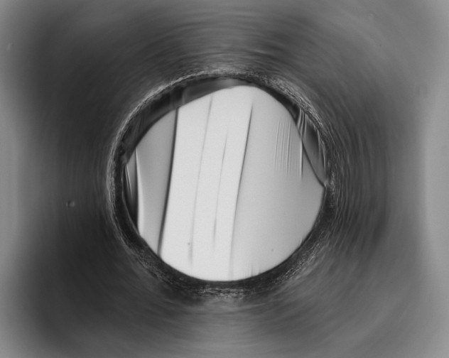 X0000096130676200802151314