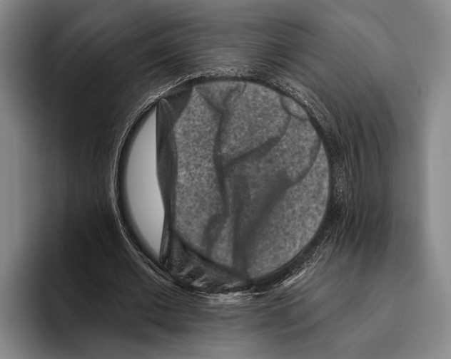 X0000096130677200802151314